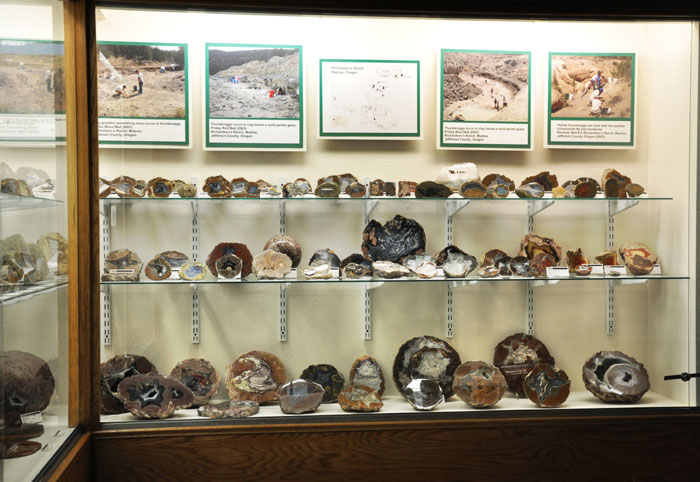 Thundereggs on exhibit at the Rice Northwest Museum of Rocks and Minerals.