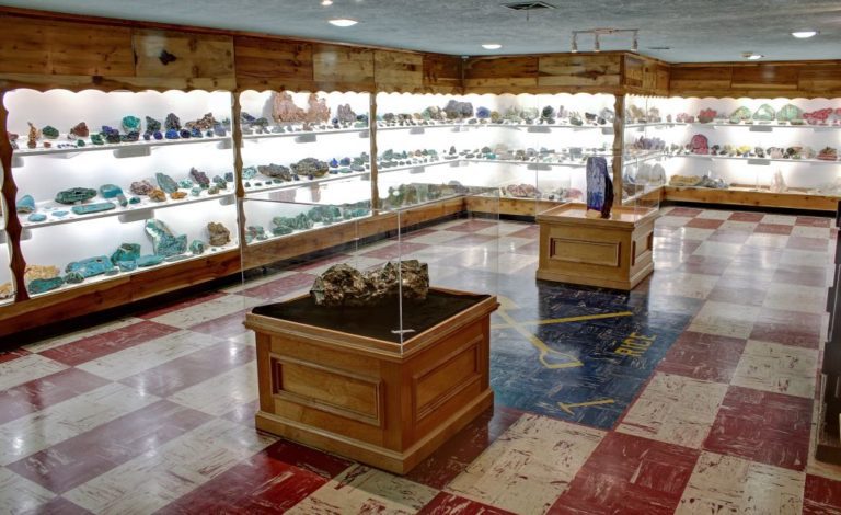 Exhibit Displays in the Main Gallery at the Rice Northwest Rock and Mineral Museum. Photography by Julian Gray.