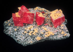 Rice Northwest Museum of Rocks and Minerals - The Alma Rose