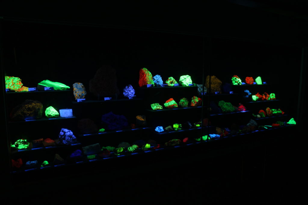Fluorescent Mineral Display at the Rice Northwest Museum of Rocks and Minerals.