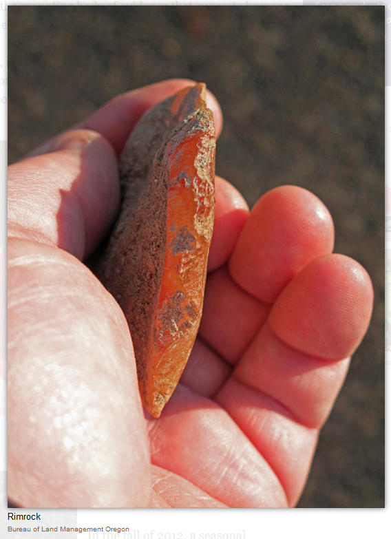 Orange Agate from Rimrock Draw Rockshelter Excavation - Bureau of Land Management Oregon held in hand.