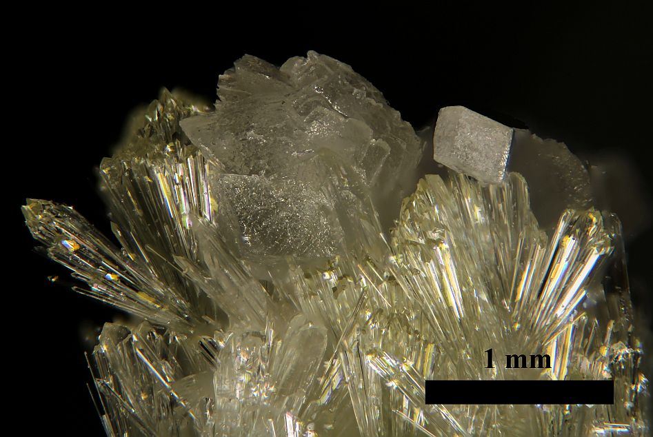 Vesunvianite 1 Ed Scale - crystal under microscope.