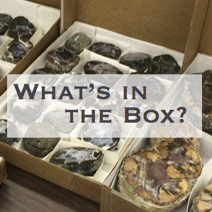 What's in the box? written over boxes of rocks and minerals.