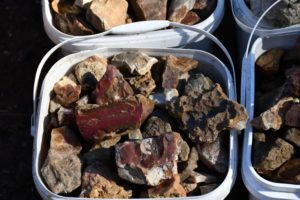 Quartz, jasper and agate from the lower Nehalem River in buckets.
