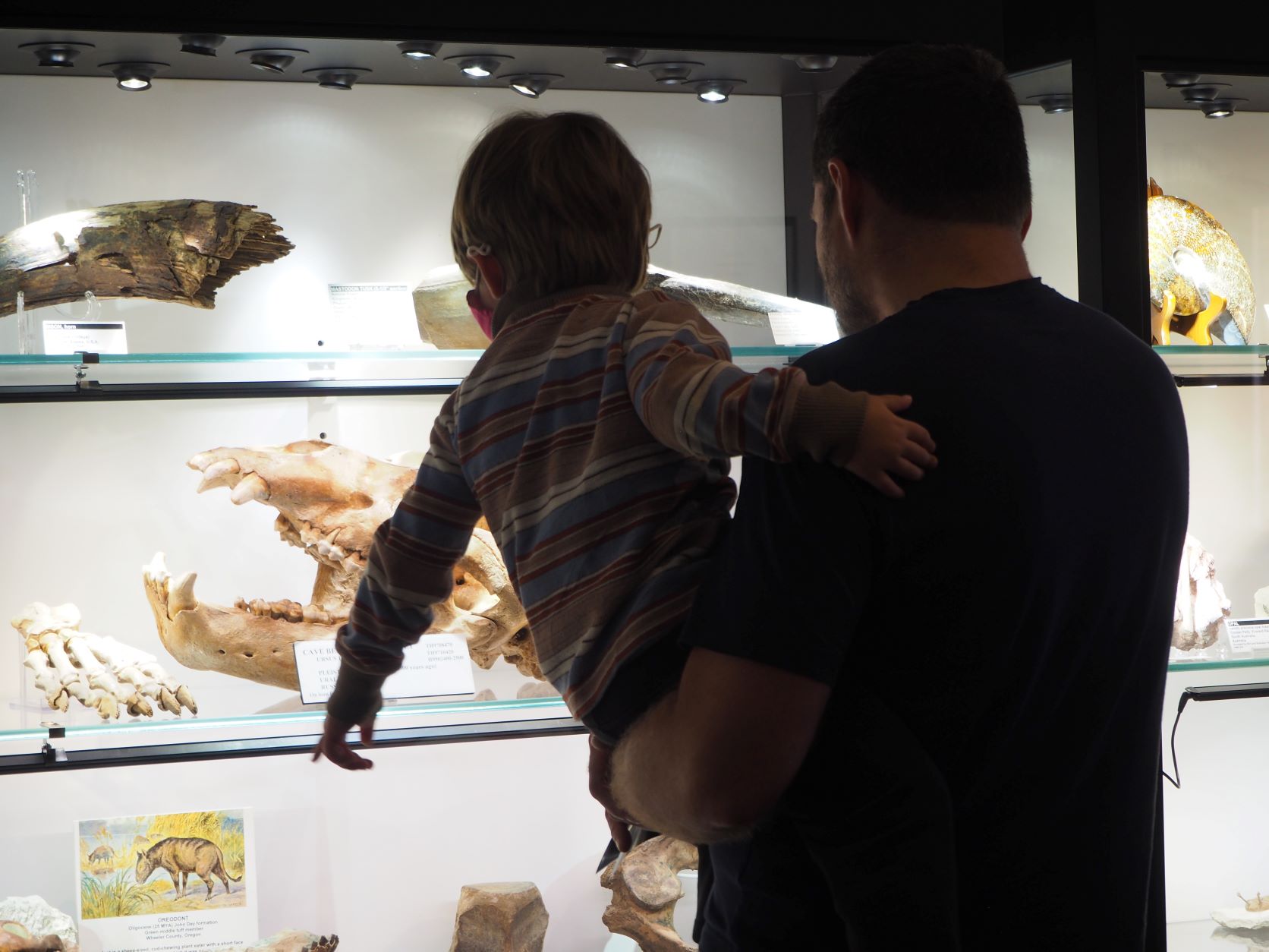 Photo of child and adult visitors in gallery