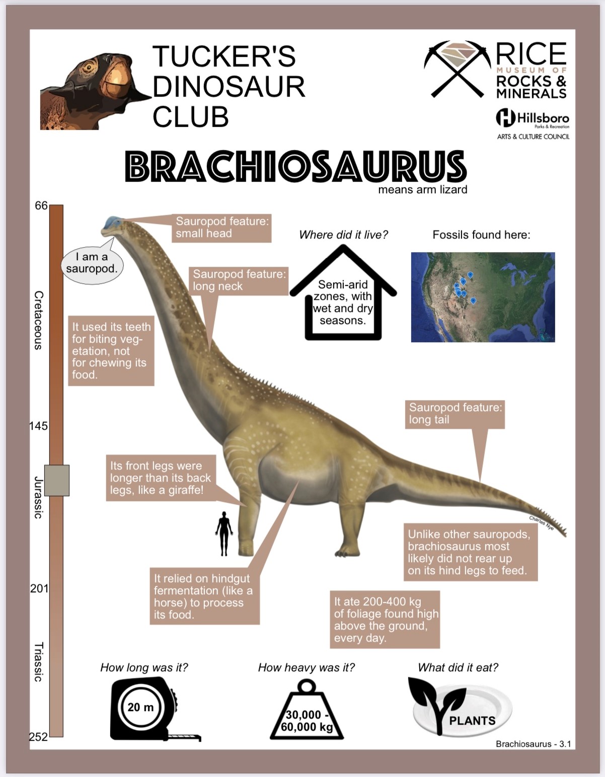 Brachiosaurus Packet