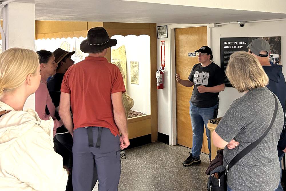 alice leading a free museum tour, alternate image