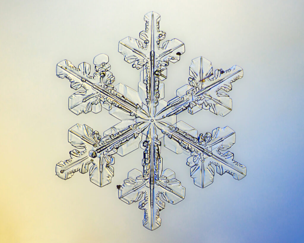 A close up of the top part of a snowflake